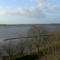 Marais Liesville sur douve