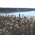 Pointe du Hoc